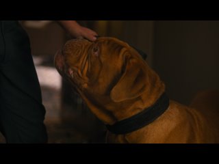 turner and hooch s01e02 web-dl 1080p rus eng